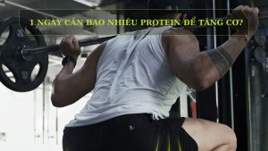 Bí Quyết "Bơm Cơ" Hiệu Quả: 1 Ngày Cần Bao Nhiêu Protein Để Tăng Cơ?